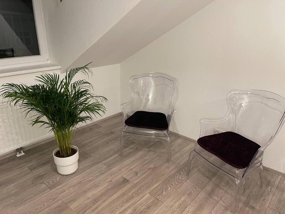 Apartmán Dachterrasse Fuer 4 Personen Vídeň Exteriér fotografie